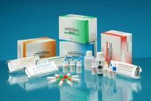 人N-乙酰-β-D-氨基葡萄糖苷酶(NAG) ELISA試劑盒免費技術(shù)指導(dǎo) - 上海信帆生物科技